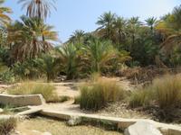 Wadi Bani Khalid
