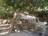 Wadi Tiwi