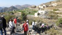 Wanderung im Jebel Akhdar Gebirge