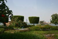 0183 an der Corniche in Abu Dhabi