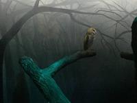 137 Unterwasserzoo in der Dubai Mall