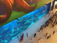 141 Unterwasserzoo in der Dubai Mall