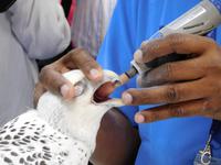 232 Falkenklinik Abu Dhabi