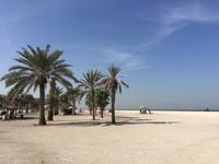 298 am Strand von Sharjah
