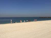 299 am Strand von Sharjah