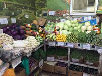 308 Gemüsemarkt Sharjah