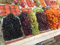 310 Gemüsemarkt Sharjah