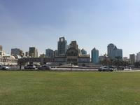 319 Blauer Souq Sharjah