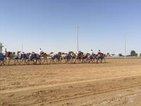 346 Kamelrennstrecke