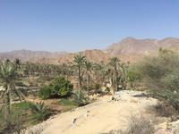 429 an der Ostküste