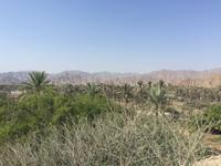 430 an der Ostküste