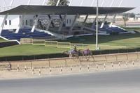 Kamelrennstrecke (3)