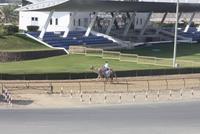 Kamelrennstrecke (7)