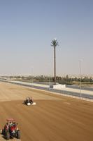 Kamelrennstrecke (9)