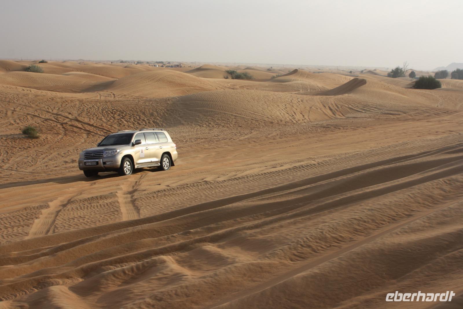 Wüstensafari (5)