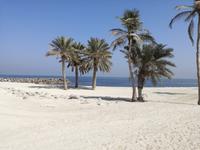 Unterwegs nach Sharjah