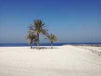 Unterwegs nach Sharjah