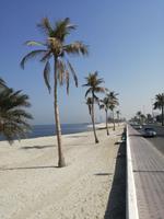 Unterwegs nach Sharjah