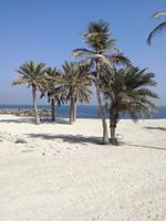 Unterwegs nach Sharjah