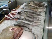 Fischmarkt in Sharjah