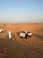 Wüstensafari
