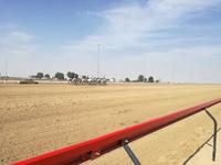 Kamelrennstrecke - Achtung frisch gestrichen