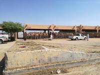 Kamelmarkt in Al Ain