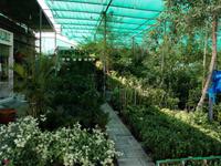 Freitagsmarkt auf den Weg an die Ostküste