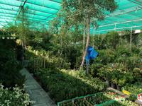 Freitagsmarkt auf den Weg an die Ostküste