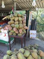 Freitagsmarkt auf den Weg an die Ostküste