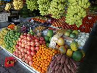 Freitagsmarkt auf den Weg an die Ostküste