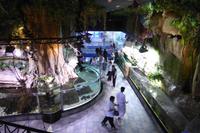 Indoor Zoo in der Dubai Mall