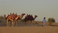 Ausflug in die Wüste von Dubai