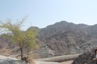 auf dem Weg zur Ostküste (3)