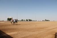 auf der Kamelrennstrecke (3)