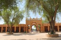 Das Palastmuseum (9)