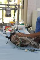 in der Falkenklinik (4)