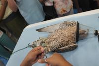 in der Falkenklinik (7)