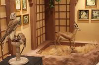 in der Falkenklinik (15)