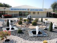 Falkenklinik von Frau Dr. Müller