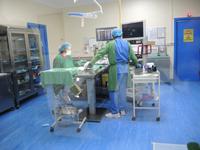 Falkenklinik von Frau Dr. Müller (bei der Arbeit)