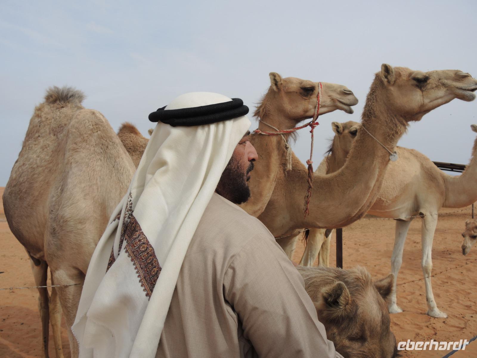 auf der Kamelfarm - Al Ain