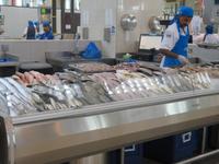 Souk al Jubail in Schardscha