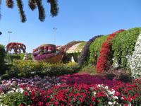 Miracle Garden