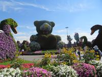 Miracle Garden