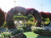 Miracle Garden