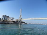 wir chartern eine Yacht in der Dubai Marina