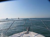 wir chartern eine Yacht in der Dubai Marina