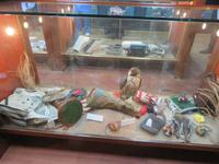 Falkenklinik Abu Dhabi