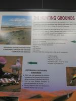 Falkenklinik Abu Dhabi